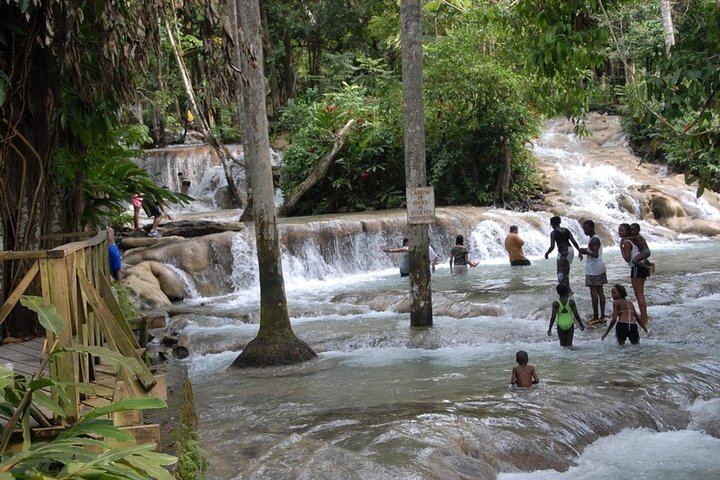 Dunn's River Falls Shore Excursion with Jerk Lunch Option from Ocho Rios (3/6)