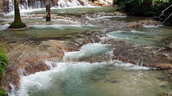 Private Dunn's River Falls Climb by Air-Conditioned Van from Ocho Rios Port or Hotels (1/6)