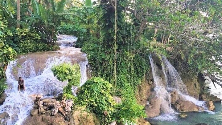 Dunn's River Falls and Blue Hole Day Tour with Lunch from Montego Bay and Trelawny Hotels (1/9)