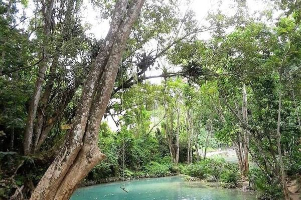 Dunn's River Falls and Blue Hole Day Tour with Lunch from Montego Bay and Trelawny Hotels