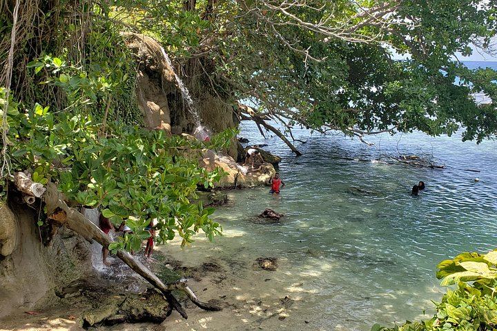 Dunn's River Falls and Blue Hole Day Tour with Lunch from Montego Bay and Trelawny Hotels (5/9)