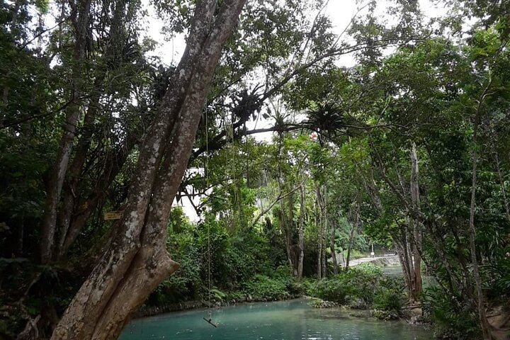Dunn's River Falls and Blue Hole Day Tour with Lunch from Montego Bay and Trelawny Hotels (9/9)
