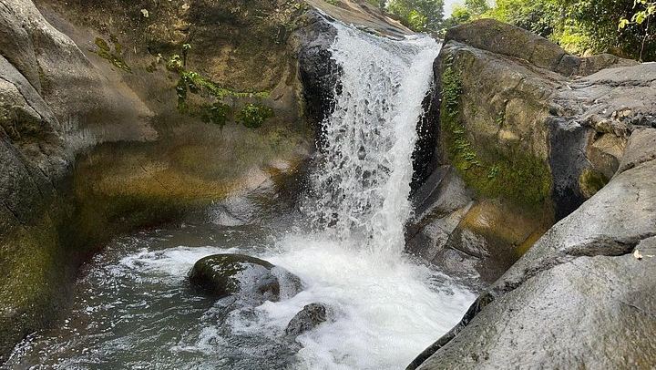 Weeepaaa Tours El Yunque Natural Slide and Luquillo Beach with Finger Food and Photos (3/4)
