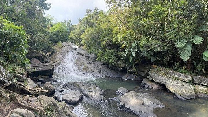 Weeepaaa Tours El Yunque Natural Slide and Luquillo Beach with Finger Food and Photos (2/4)