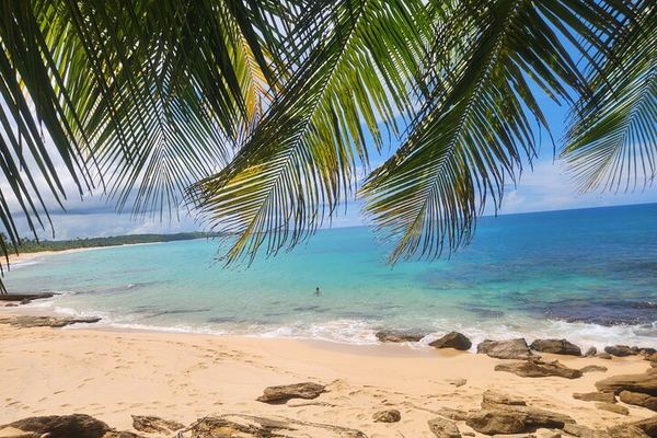 Weeepaaa Tours El Yunque Natural Slide and Luquillo Beach with Finger Food and Photos