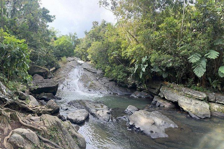 Weeepaaa Tours El Yunque Natural Slide and Luquillo Beach with Finger Food and Photos (2/4)