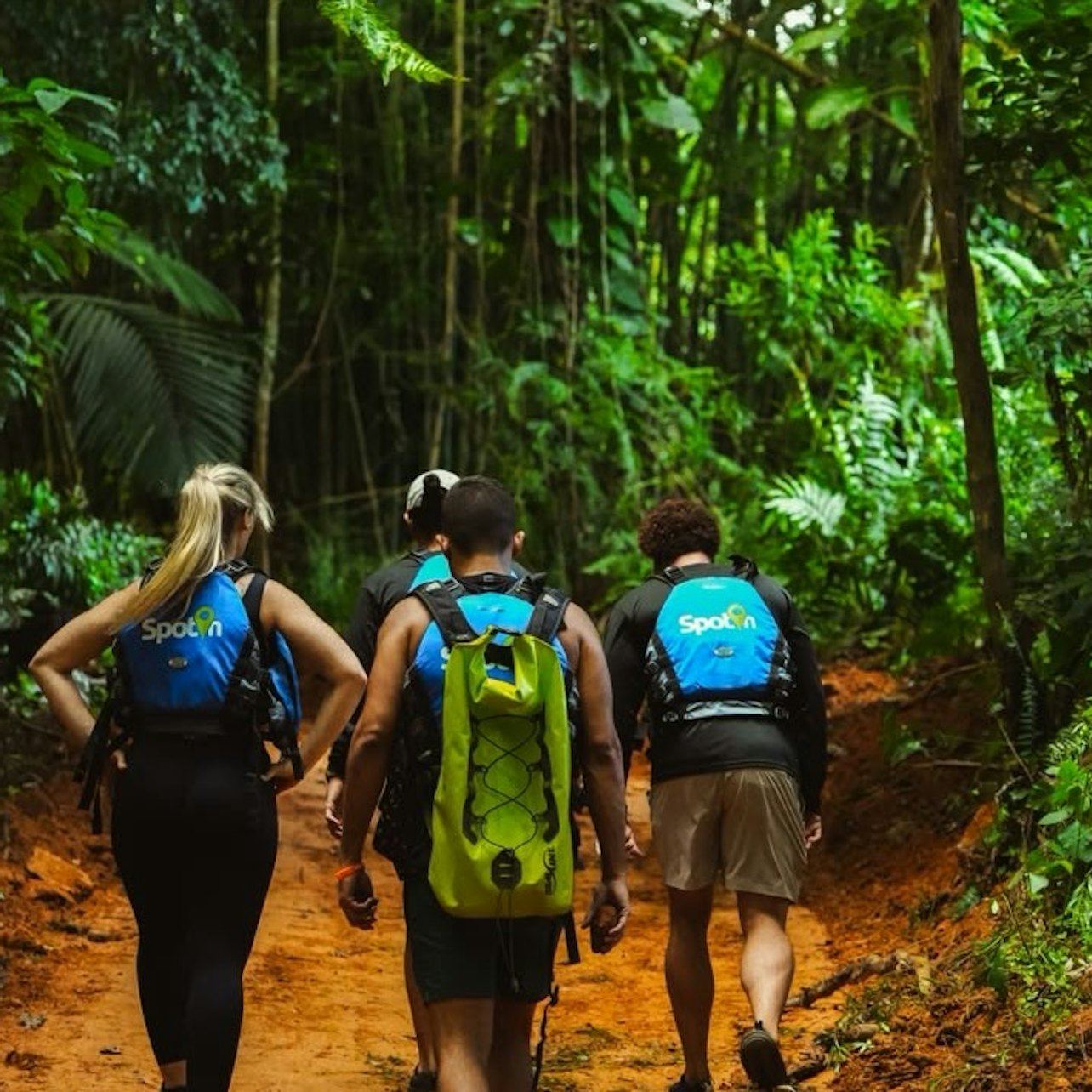 El Yunque Guided Hike: Two Waterfalls, Rope Swings and Roundtrip Transport (7/7)