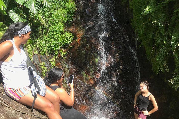 Private Las Tinajas Waterfall Hike in Ceiba with Luquillo Beach Lunch, Own Car (3/7)