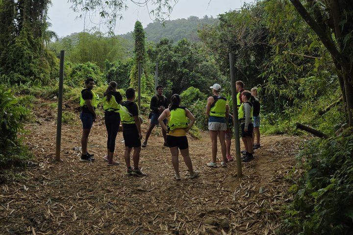 El Yunque River Pools, Rope Swings and Rock Slide with Fruit, Pickup and Luquillo Stop (5/10)