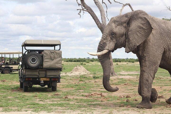 Victoria Falls and Chobe 2-Day Combo With Sunrise Falls Tour and Boat Safari (5/9)
