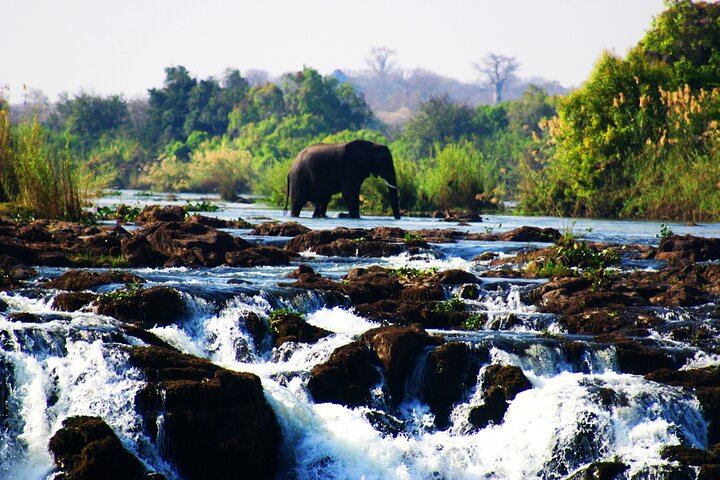 Victoria Falls Zimbabwe Side Guided Walk with Wildlife Safari by Savannah Adventures (3/12)