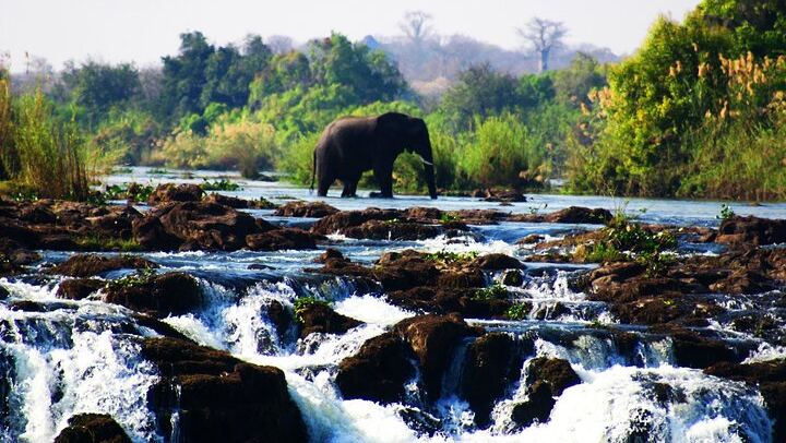 Victoria Falls Zimbabwe Side Guided Walk with Wildlife Safari by Savannah Adventures (3/12)