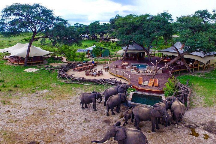 Victoria Falls and Hwange 5-Day Safari With Sunset Cruise and Full-Day Game Drive (2/6)