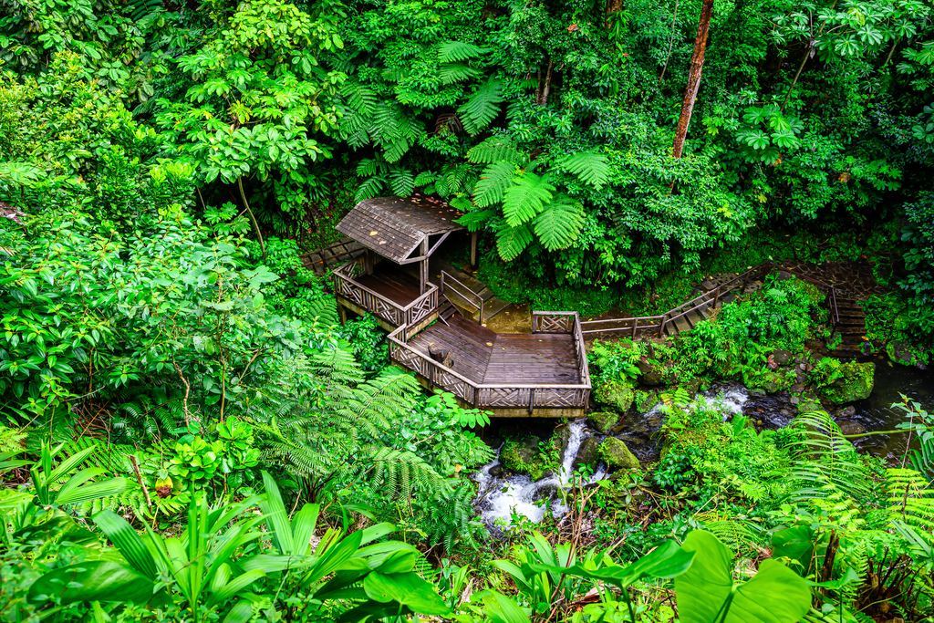 Wooden observation deck above a stream in the rainforest at Emerald Pool, Dominica