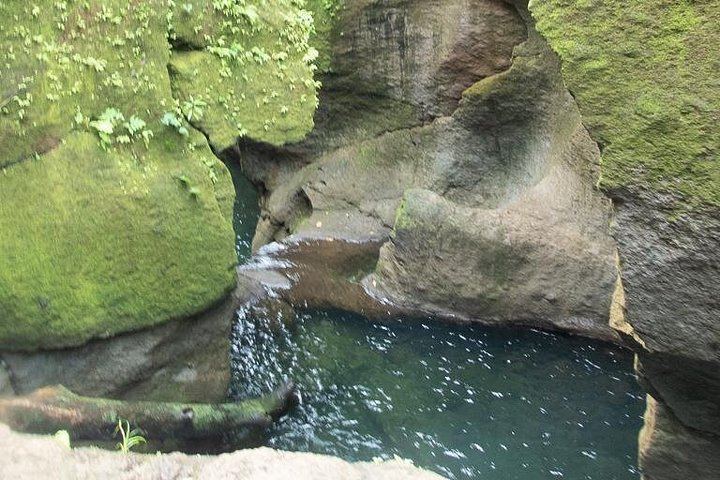 Small-Group Canyoning in Dominica with a Qualified Guide, Beginners to Athletes (9/12)