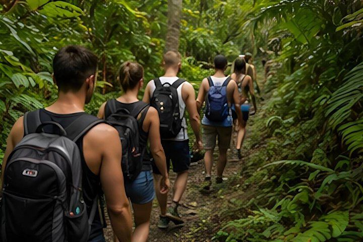 Maui Waterfall Hike with Optional Cliff Jumping and GoPro Photos, 3.5 Hours (5/12)