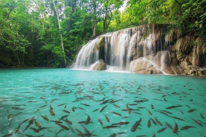 Erawan Falls Day Tour from Bangkok with Hotel Pickup, Fruit and Soi Rambuttri Option (5/10)