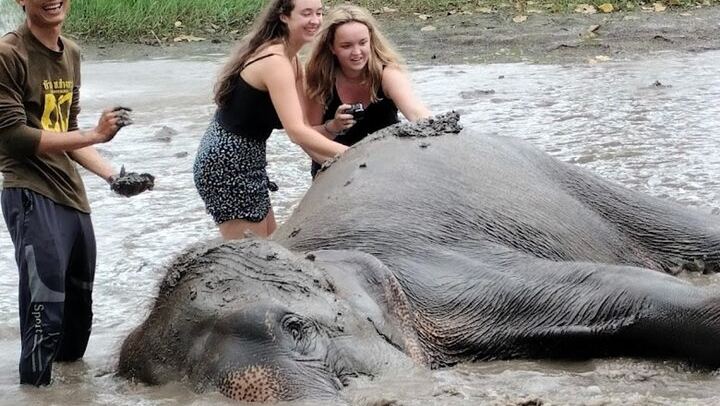 Private Erawan Falls and Rescued Elephant Visit from Bangkok, Lunch Included (4/12)