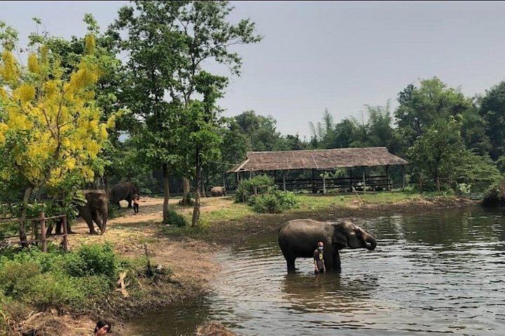 Private Erawan Falls and Rescued Elephant Visit from Bangkok, Lunch Included (11/12)