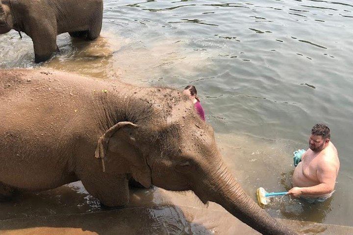 Private Erawan Falls and Rescued Elephant Visit from Bangkok, Lunch Included (6/12)
