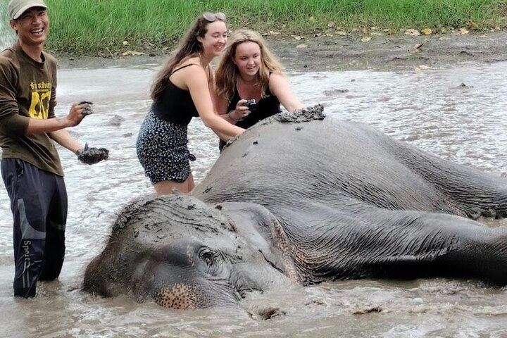 Private Erawan Falls and Rescued Elephant Visit from Bangkok, Lunch Included (4/12)