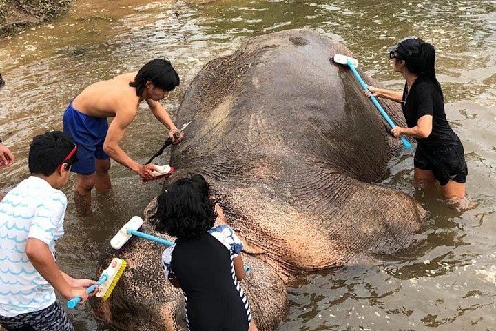 Private Erawan Falls and Rescued Elephant Visit from Bangkok, Lunch Included (12/12)