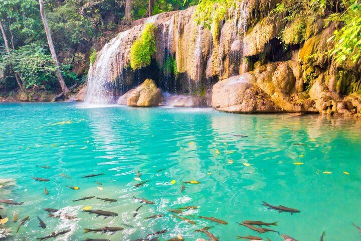 Private Day Trip from Bangkok: Erawan Falls, Rescued Elephants and Kwai Bridge (9/9)