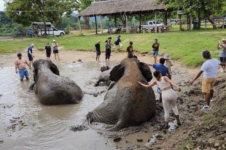 Private Erawan Falls and Rescued Elephant Visit from Bangkok, Lunch Included (7/12)