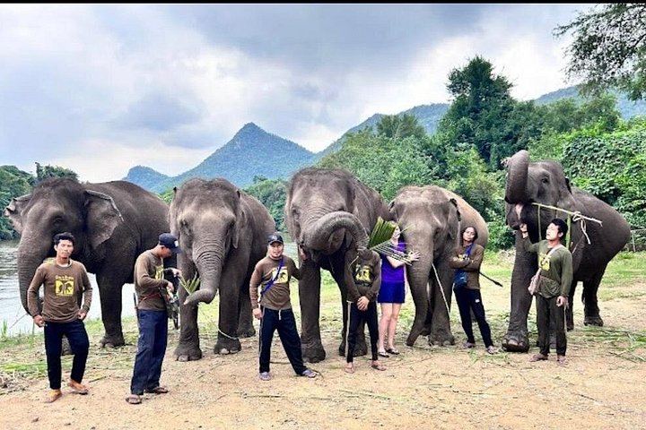 Private Erawan Falls and Rescued Elephant Visit from Bangkok, Lunch Included (5/12)
