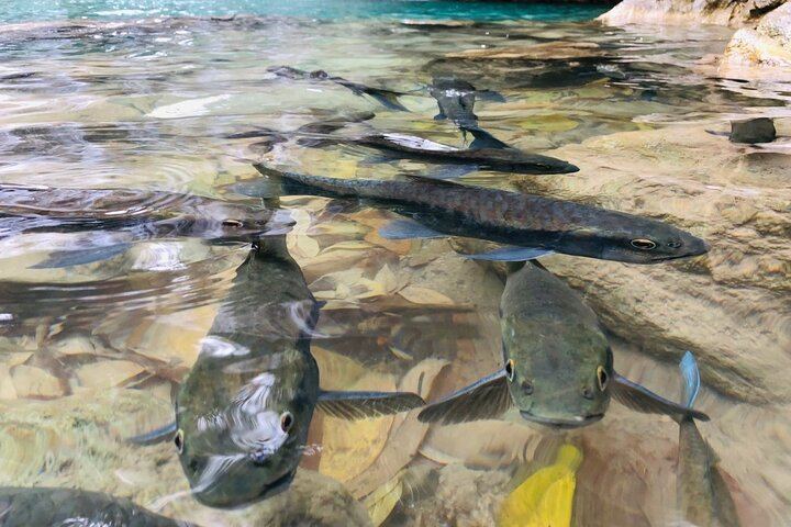 Erawan Falls, Don Rak War Cemetery and River Kwai Bridge Day Trip by Private Car (6/9)