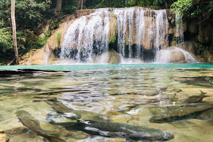 Erawan Falls, Don Rak War Cemetery and River Kwai Bridge Day Trip by Private Car (9/9)