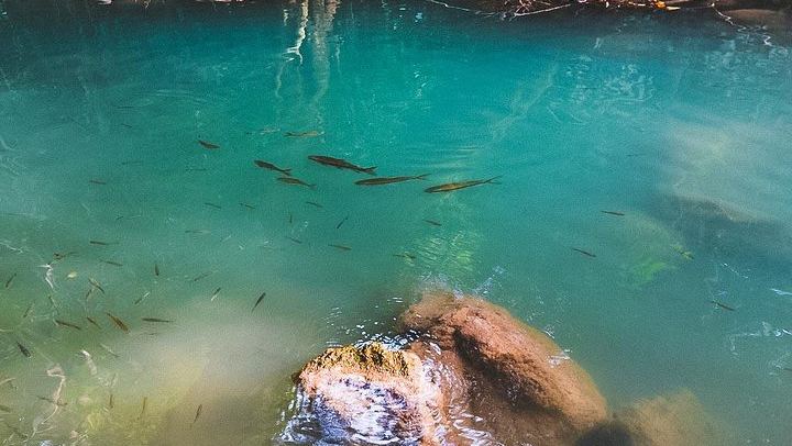 Private Day Trip from Bangkok: Erawan Falls, Rescued Elephants and Kwai Bridge (3/9)