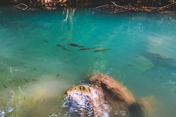 Private Day Trip from Bangkok: Erawan Falls, Rescued Elephants and Kwai Bridge (3/9)