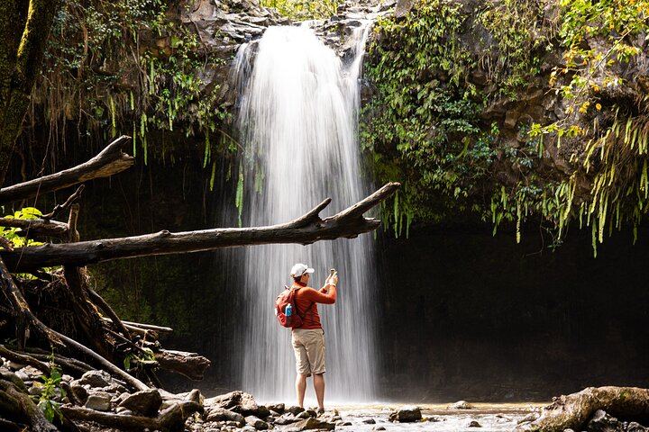 Small Group Hana Highway Waterfall Hike with Lunch from Kahului Park and Ride (2/11)
