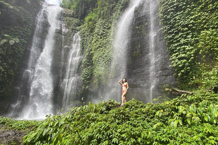 Private Northern Bali Trip: Ulun Danu Temple, Sekumpul Trek and Banyumala Falls (2/8)