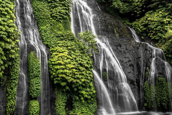 Private Northern Bali Trip: Ulun Danu Temple, Sekumpul Trek and Banyumala Falls (7/8)