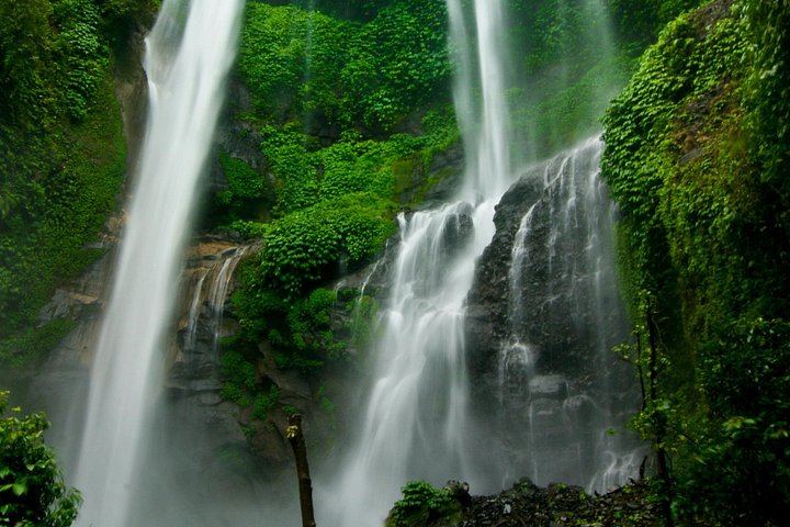 Private Northern Bali Trip: Ulun Danu Temple, Sekumpul Trek and Banyumala Falls (8/8)