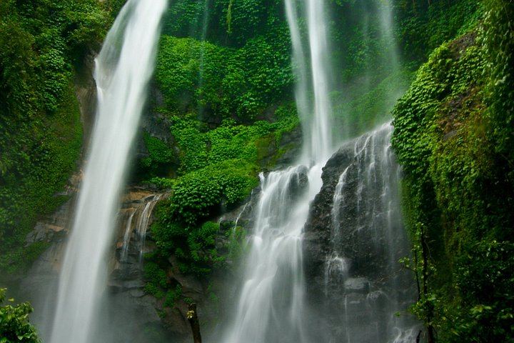 Private Northern Bali Trip: Ulun Danu Temple, Sekumpul Trek and Banyumala Falls (6/8)
