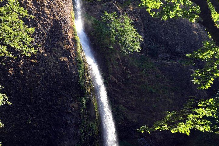 Small-Group Half-Day Waterfall Alley Tour with Local Stories from Director Park (8/12)