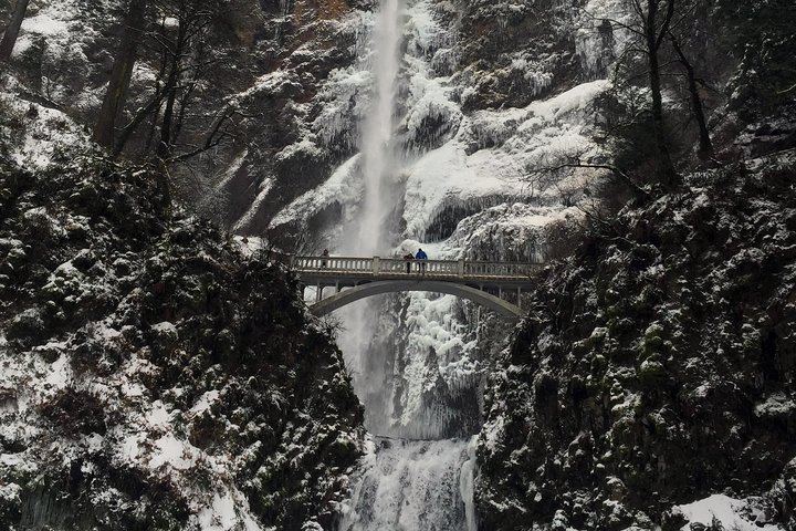 Small-Group Half-Day Waterfall Alley Tour with Local Stories from Director Park (11/12)