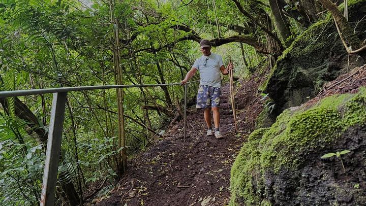 Cuilpilapan Miravalles Hike to Two Waterfalls and Suspension Bridge with Sloth Option (3/11)