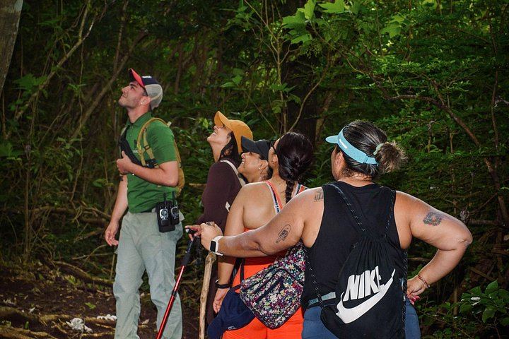 Cuilpilapan Miravalles Hike to Two Waterfalls and Suspension Bridge with Sloth Option (8/11)