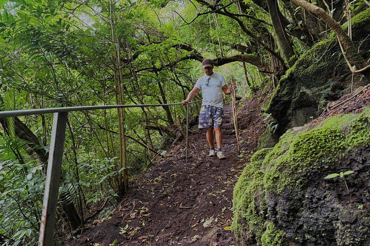 Cuilpilapan Miravalles Hike to Two Waterfalls and Suspension Bridge with Sloth Option (3/11)
