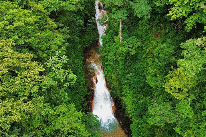 Cuilpilapan Miravalles Hike to Two Waterfalls and Suspension Bridge with Sloth Option (10/11)