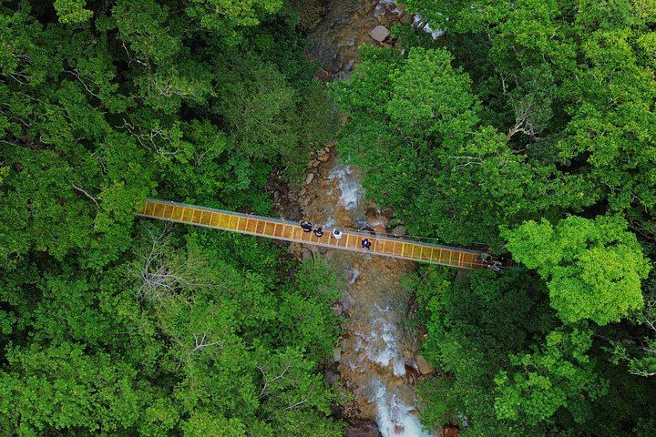 Cuilpilapan Miravalles Hike to Two Waterfalls and Suspension Bridge with Sloth Option (5/11)