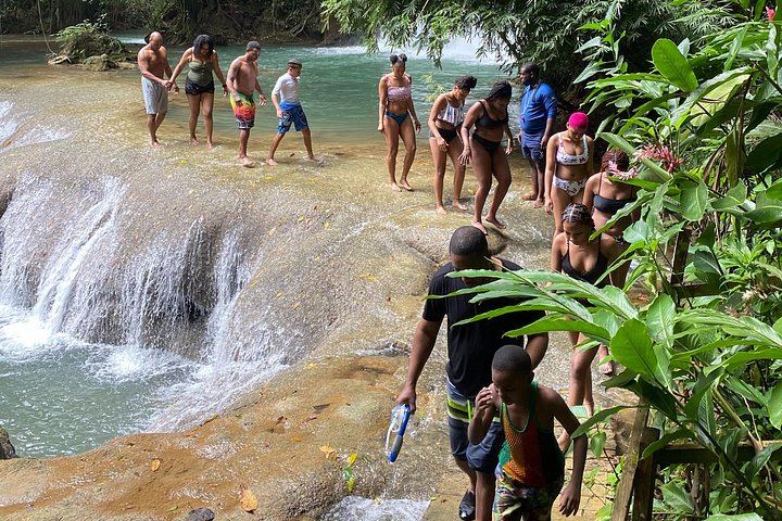 Cashless YS Falls Day Trip from Montego Bay via Middle Quarters Pepper Shrimp Route (12/12)