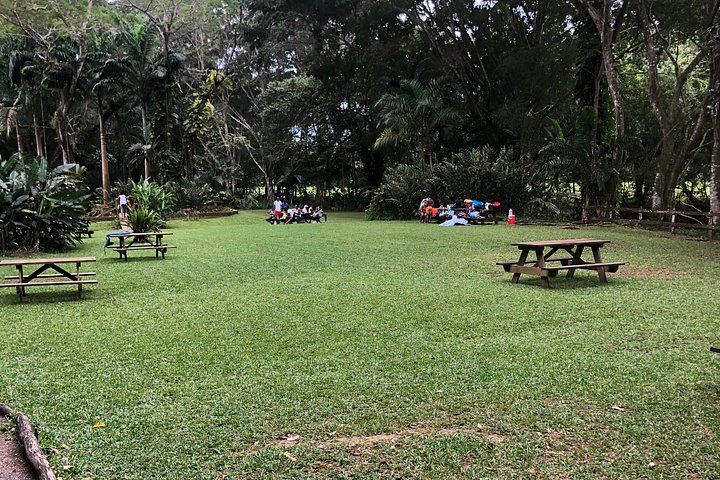 Cashless YS Falls Day Trip from Montego Bay via Middle Quarters Pepper Shrimp Route (9/12)