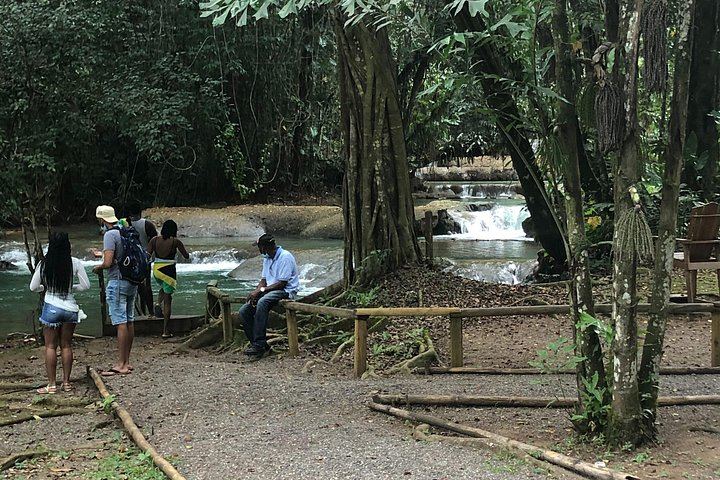 Cashless YS Falls Day Trip from Montego Bay via Middle Quarters Pepper Shrimp Route (7/12)