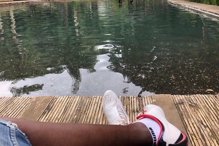 Cashless YS Falls Day Trip from Montego Bay via Middle Quarters Pepper Shrimp Route (11/12)