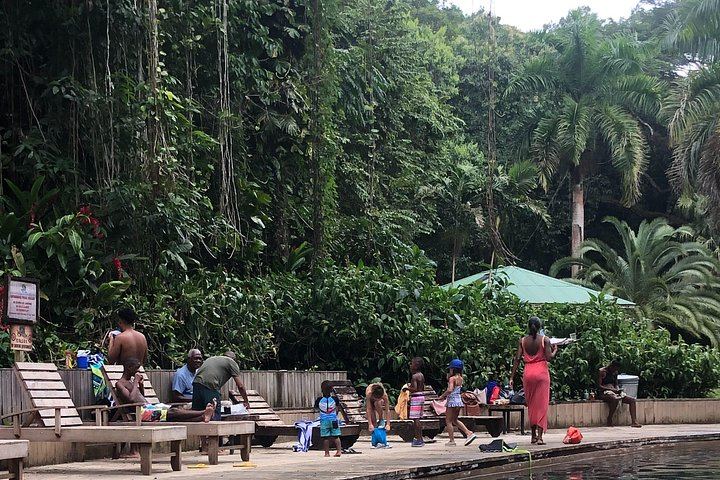 Cashless YS Falls Day Trip from Montego Bay via Middle Quarters Pepper Shrimp Route (10/12)